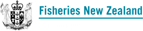 FNZ Logo.